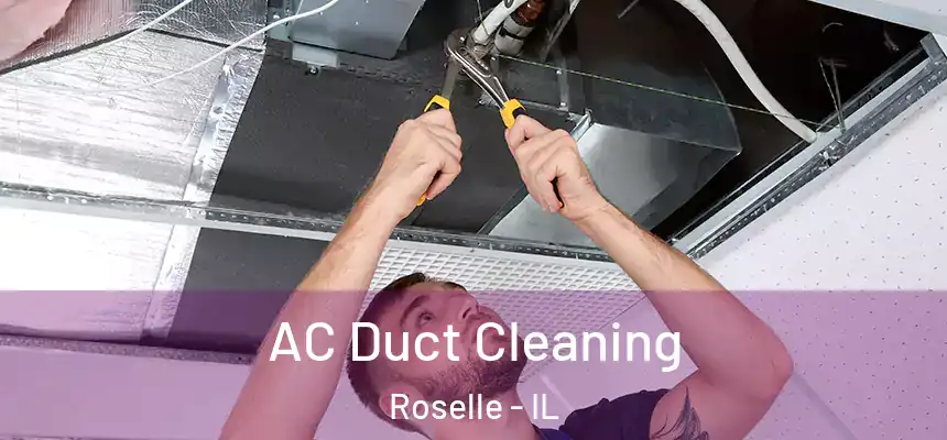  AC Duct Cleaning Roselle - IL