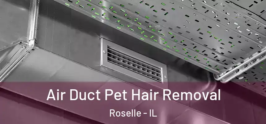  Air Duct Pet Hair Removal Roselle - IL