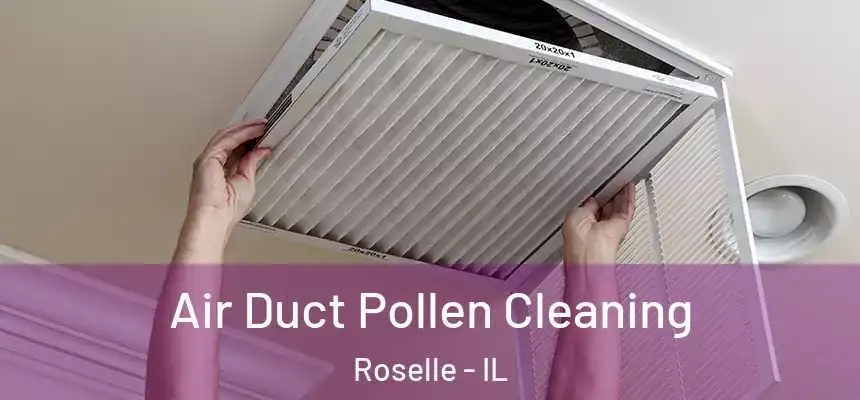  Air Duct Pollen Cleaning Roselle - IL