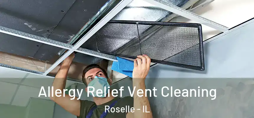  Allergy Relief Vent Cleaning Roselle - IL