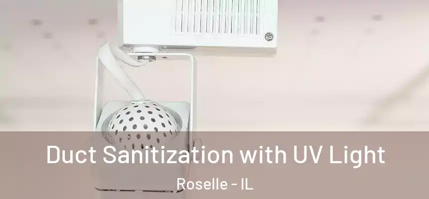  Duct Sanitization with UV Light Roselle - IL