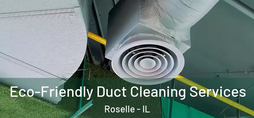 Eco-Friendly Duct Cleaning Services Roselle - IL