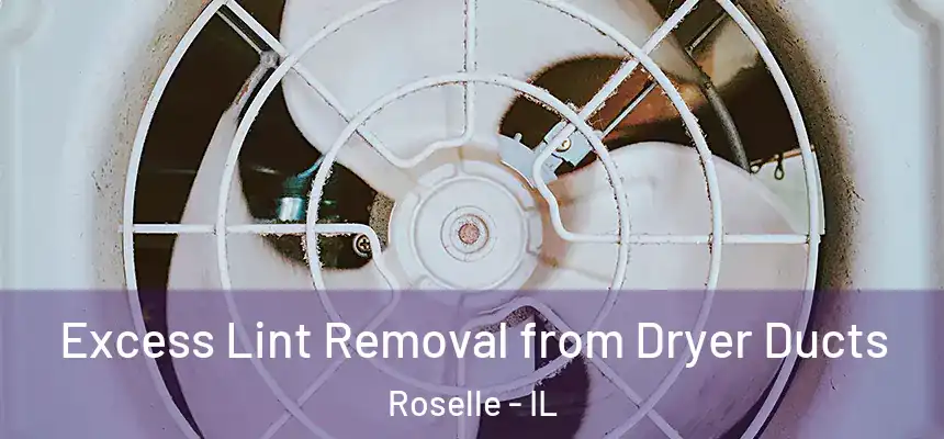Excess Lint Removal from Dryer Ducts Roselle - IL