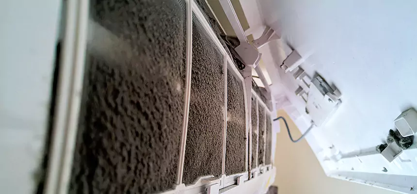 Preventive Air Duct Bacteria Removal in Roselle