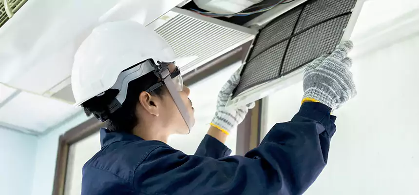 Our Mold & Mildew Removal from Air Ducts Services in Roselle, IL