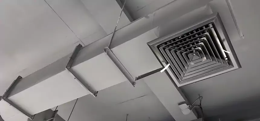 Our Pest Removal From Ducts Services in Roselle, IL