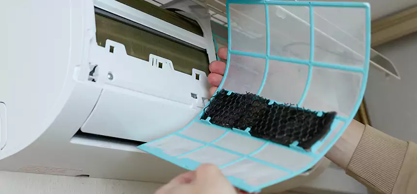 Gentle Ductwork Odor-Control Pet Dander Duct Cleaning in Roselle, IL