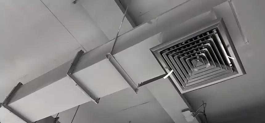 Our Rodent Droppings In Vents Services in Roselle, IL