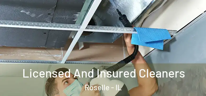  Licensed And Insured Cleaners Roselle - IL