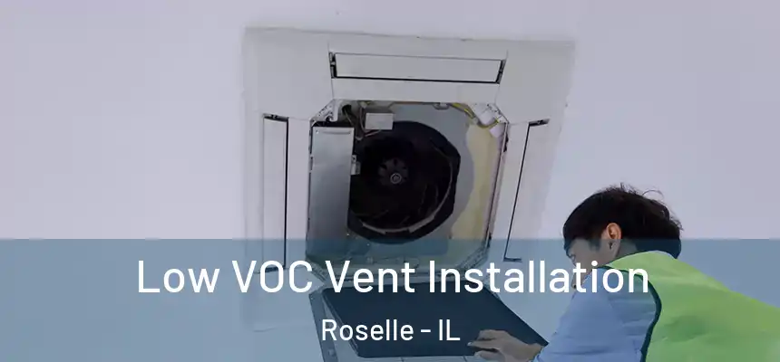 Low VOC Vent Installation Roselle - IL