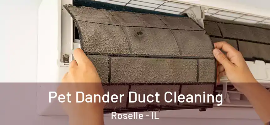  Pet Dander Duct Cleaning Roselle - IL