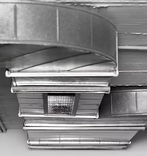 Professional Air Duct Pest Removal in Roselle, IL