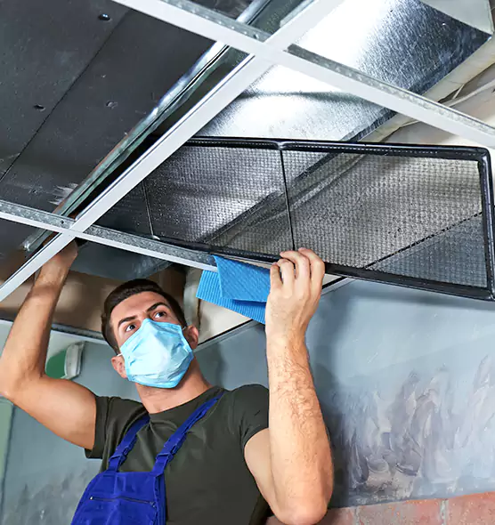 Professional Air Duct Pollen Cleaning in Roselle, IL
