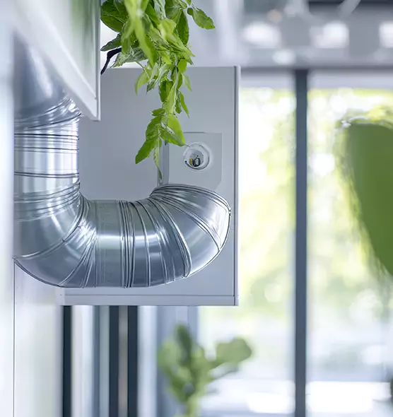 Professional Eco-Safe Dryer Vent Cleaning in Roselle, IL