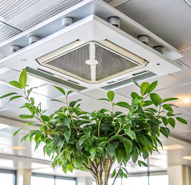 Why Homeowners & Businesses Trust Us in Roselle, IL?