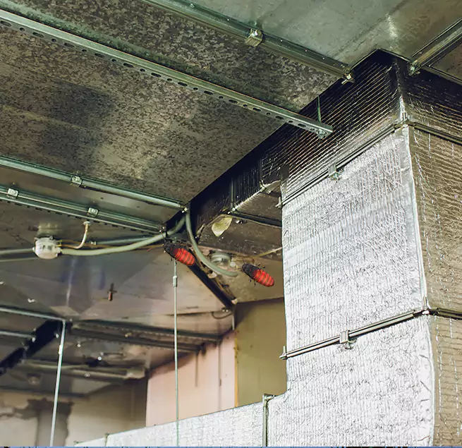 Why Homeowners & Businesses Trust Us Roselle, IL?