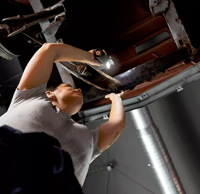 Why Homeowners & Businesses Trust Us Roselle, IL