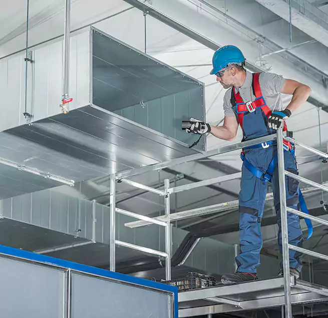 Why Homeowners & Businesses Trust Us Roselle, IL