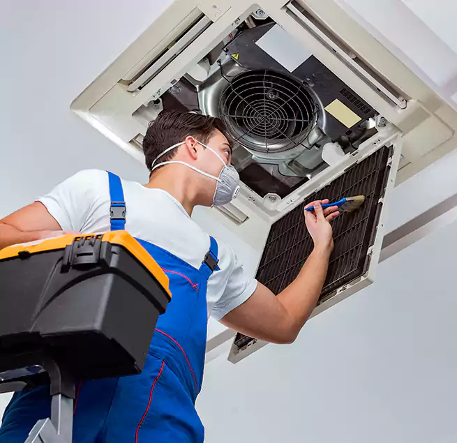 Why Homeowners & Businesses Trust Us in Roselle, IL?