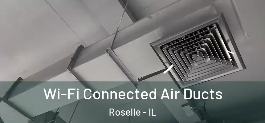  Wi-Fi Connected Air Ducts Roselle - IL